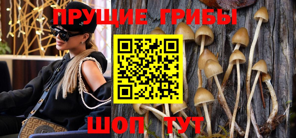 Псилоцибиновые грибы Psilocybine cubensis  Вход с VPN  Лениногорск 
